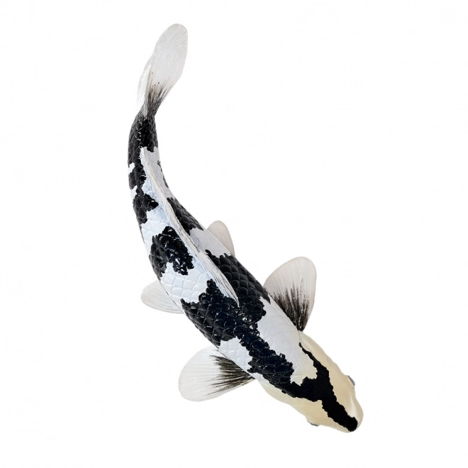 Mojo Karpfen Koi Shiro Utsuri