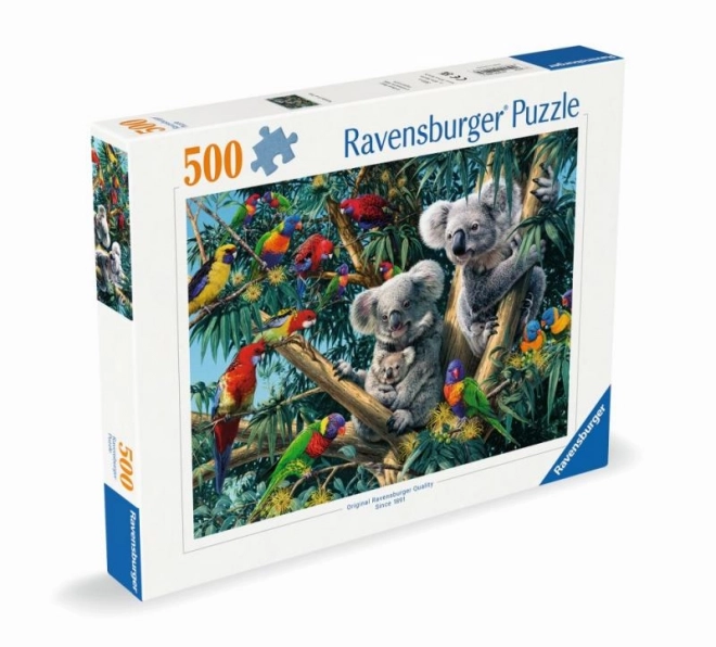 Puzzle Koalas auf dem Baum 500 Teile