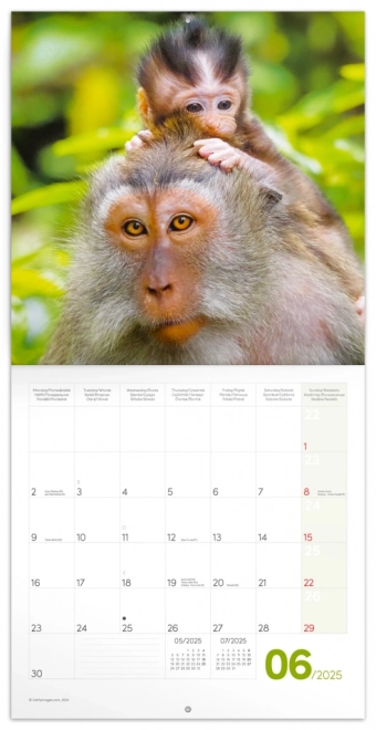 Kalender Mlade Tiere 2025