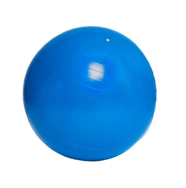 Rehabilitation Gymnastikball 65cm