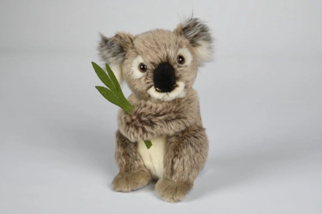 Plüsch Koala 30 cm