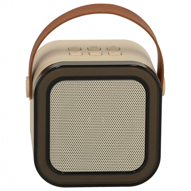 Karaoke-Set mit 2 Mikrofonen und Bluetooth-LED-Lautsprecher