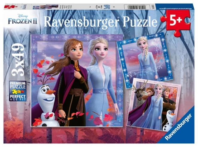 Disney Die Eiskönigin 2 Puzzle Set