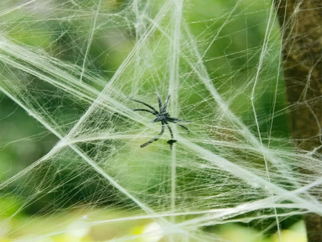 Weiße künstliche Spinnweben mit Spinnen Halloween-Dekoration