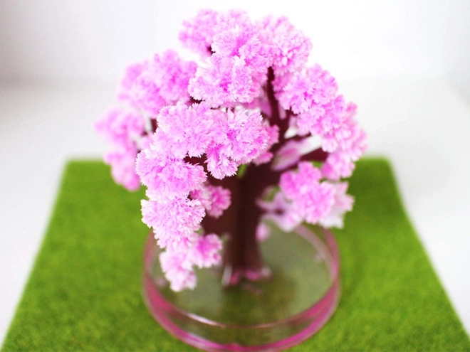 Magischer Sakura-Baum Geschenkidee