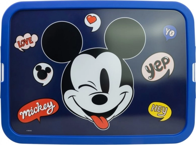 Aufbewahrungsbox mit Mickey-Muster