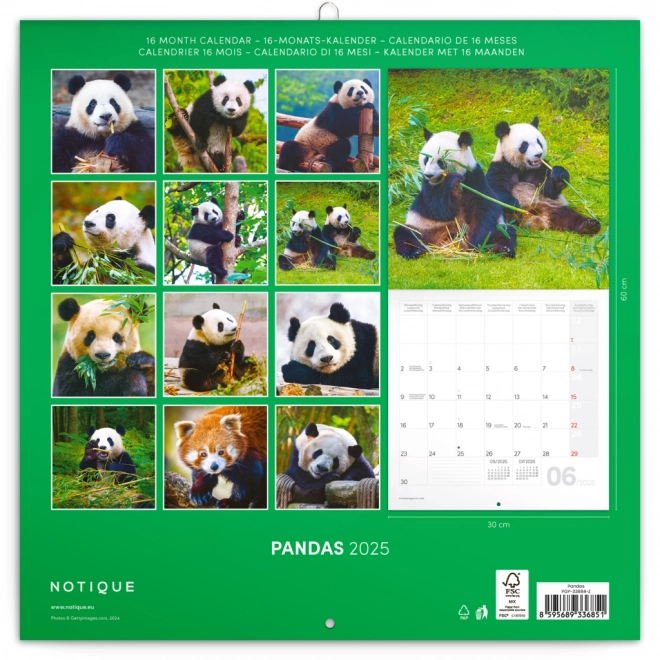 Notique Notizkalender PANDAS 2025