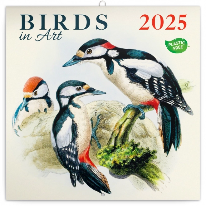 Notique Wandkalender Vögel 2025