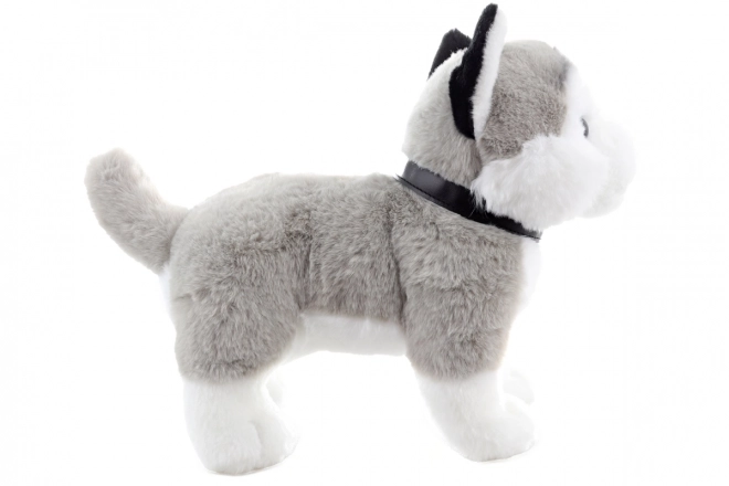 Plüsch Husky mit Leine 25 cm Umweltfreundlich
