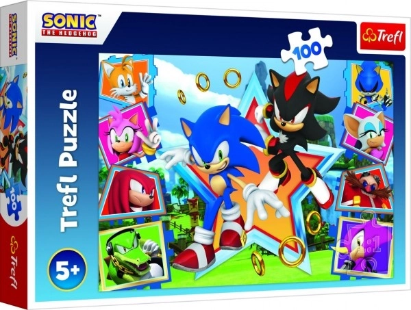 Puzzle 100 Teile Sonic kennenlernen