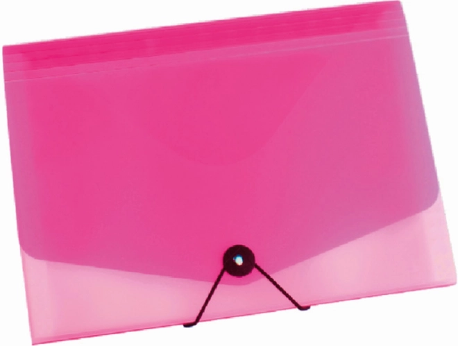 Dokumentenorganizer mit Gummi A4 Opaline transparent-rosa