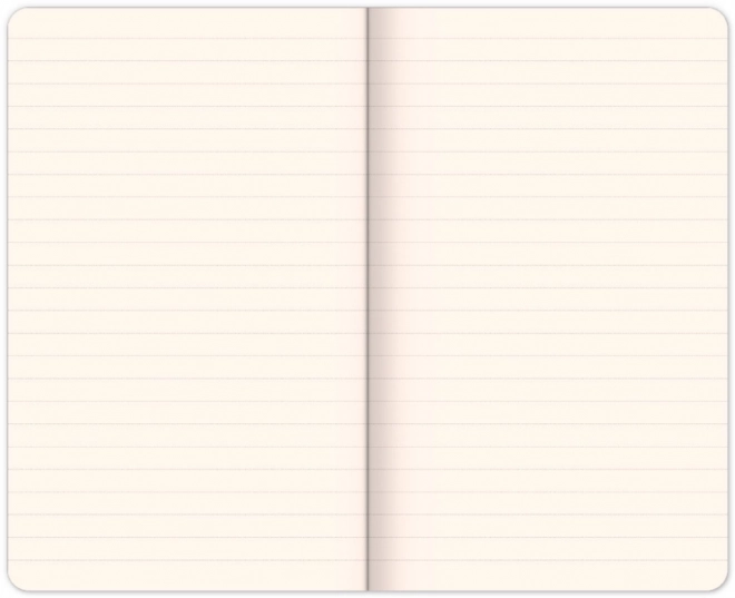 Notizbuch Batman – Wumms, liniert, 13 x 21 cm