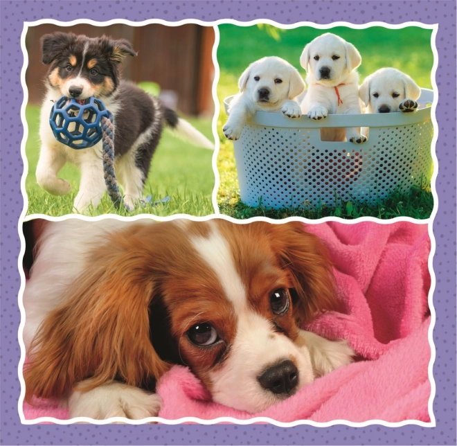 Niedliche Hunde Puzzle 3-in-1