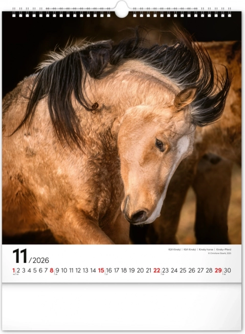 Wandkalender Pferde 2026