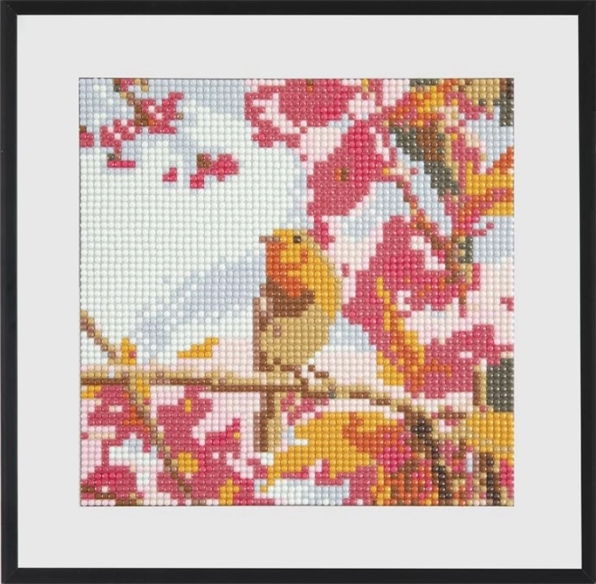 Grafix diamantmalerei kleiner vogel 20x20cm