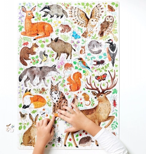 Poster mit spannenden Naturfakten