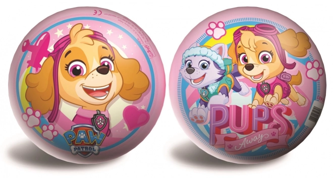 Rosa Ball mit SKY-Motiv - Paw Patrol