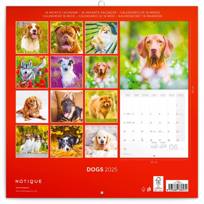 Notique Wandkalender Hunde 2025