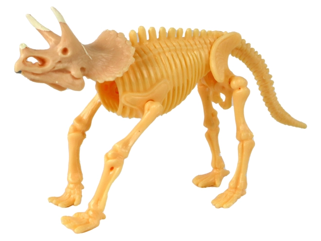 Zusammenbaubares Dinosaurierskelett