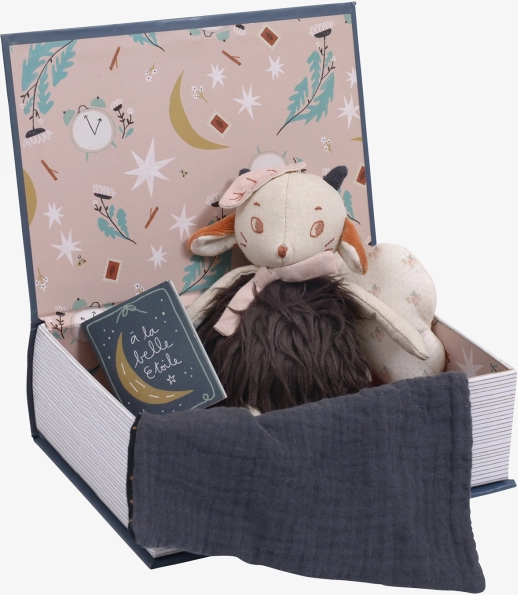 Gute-Nacht-Buch für erste Träume Moulin Roty