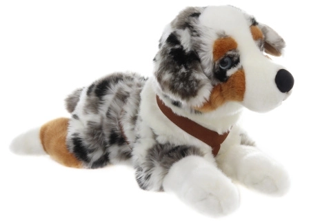 Plüsch Australien Shepherd Hund 57 cm