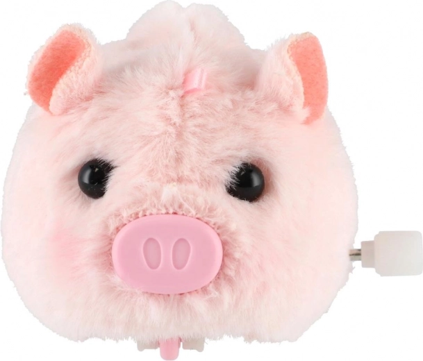 Unterhaltsame Bewegung nach dem Aufziehen