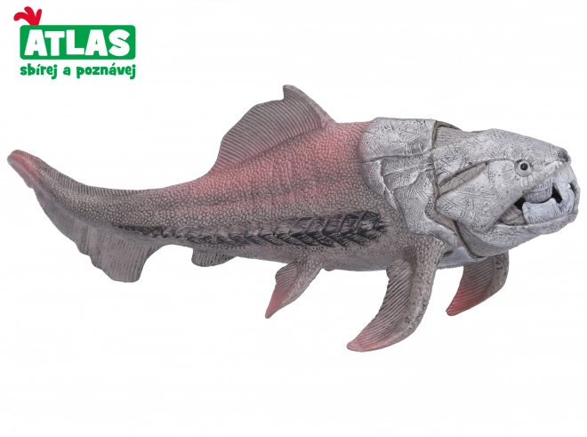 Dunkleosteus Sammlerstück