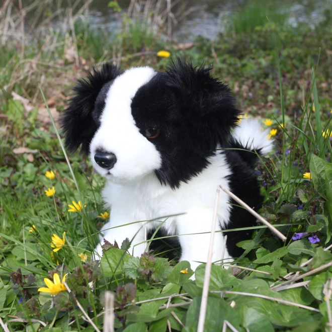 Plüschhund Border Collie Sitzend 30 cm