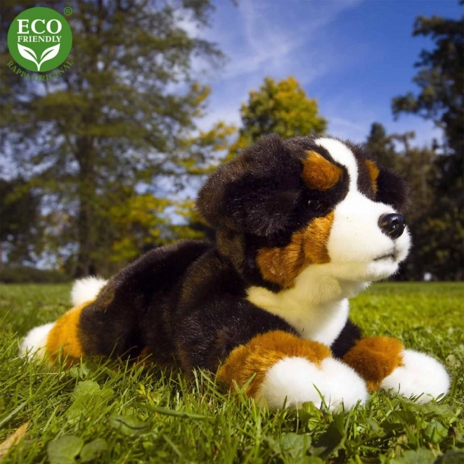 Plüsch Berner Sennenhund Liegen 23 cm ECO-FRIENDLY