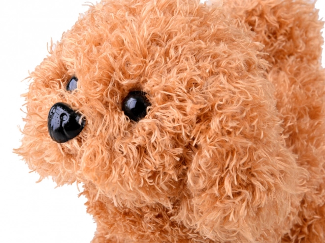 Interaktiver Welpe Tierarzt-Set für Kinder