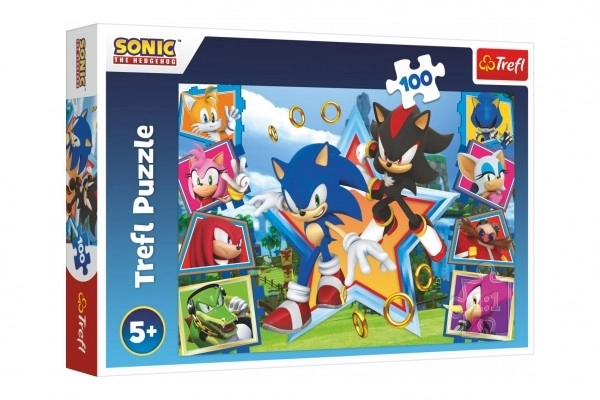 Puzzle 100 Teile Sonic kennenlernen