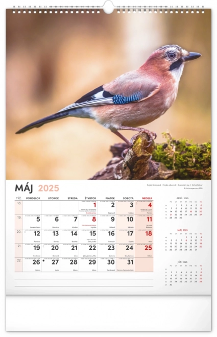 Notique Jagdkalender 2025