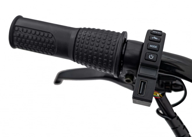 Chopper Warrior Rotes Motorrad