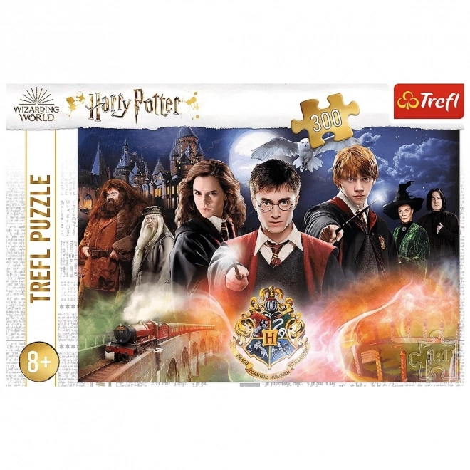 Mystery Harry Potter Puzzle 300 Teile