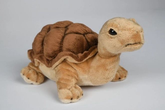 Plüschschildkröte 32 cm