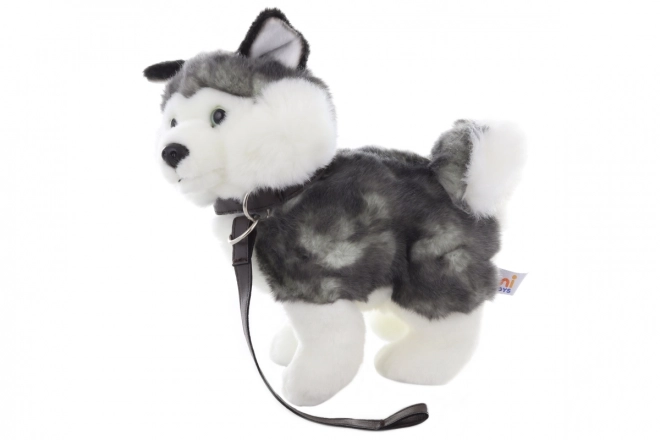 Plüsch Husky mit Leine 25 cm