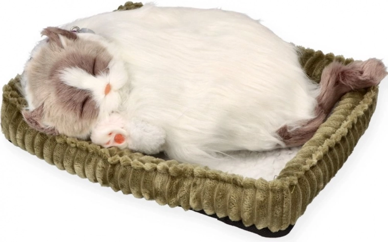 Realistischer Schlaf zur Beruhigung