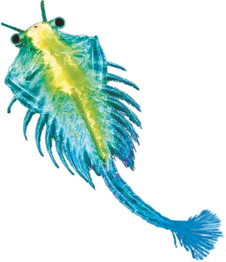 Alles in einem Set für einen einfachen Start