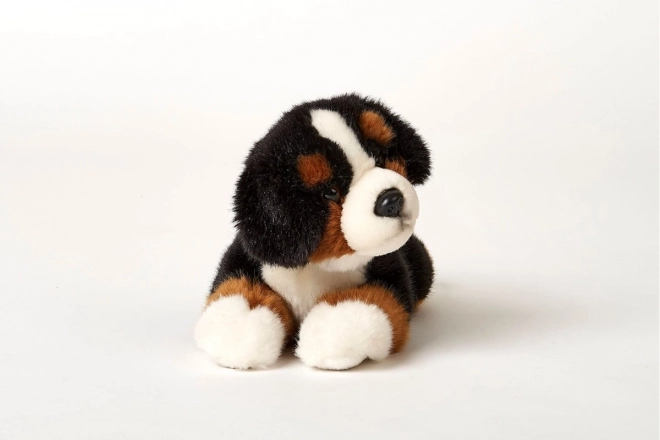 Plüsch Berner Sennenhund 25 cm