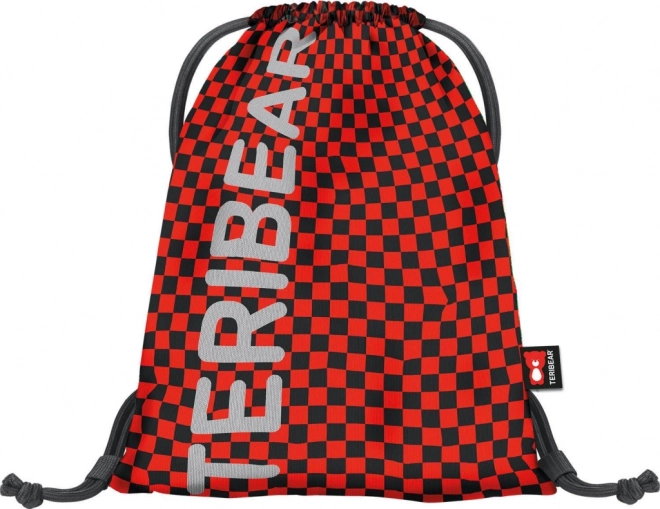 Schulrucksack Set SKATE TERIBEAR