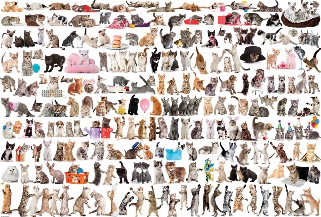 Eurographics Puzzle Welt der Katzen