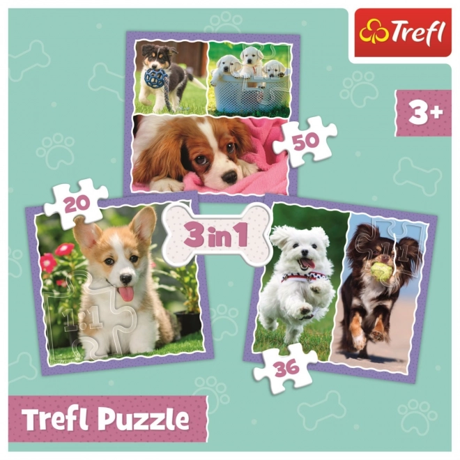 Niedliche Hunde Puzzle 3-in-1