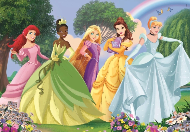 Zauberhaftes Motiv der Disney Prinzessinnen