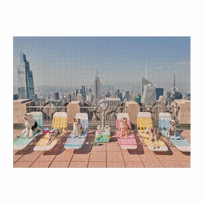 Galison Puzzle Gray Malin: New York 1000 Teile