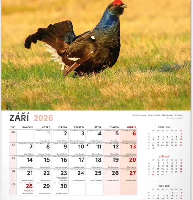 Jagd-Wandkalender 2026