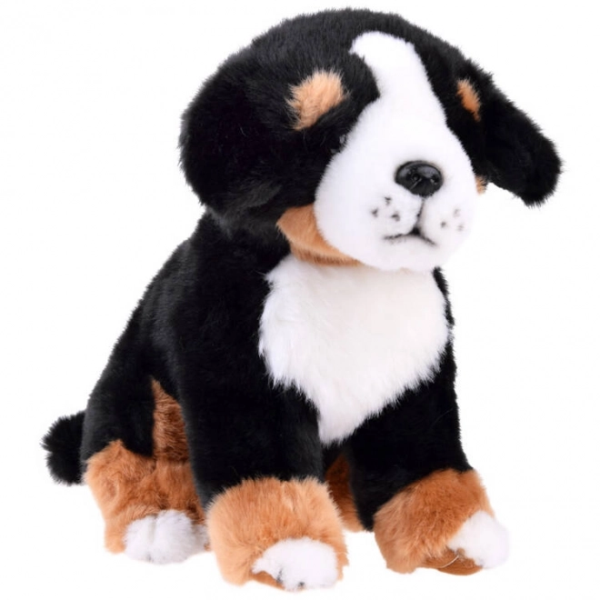 Sitzender Berner Sennenhund Plüschtier 20 cm