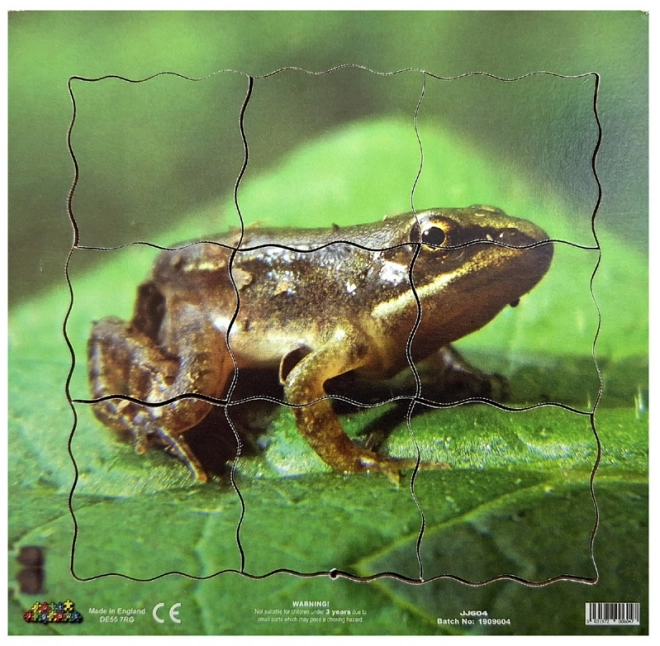 Holzpuzzle Just Jigsaws Frosch Lebenszyklus