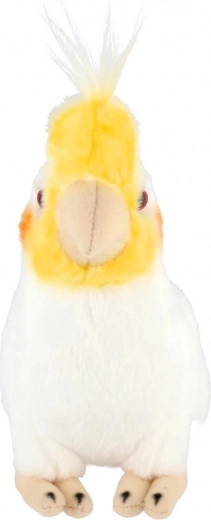 Sicher ab der Geburt