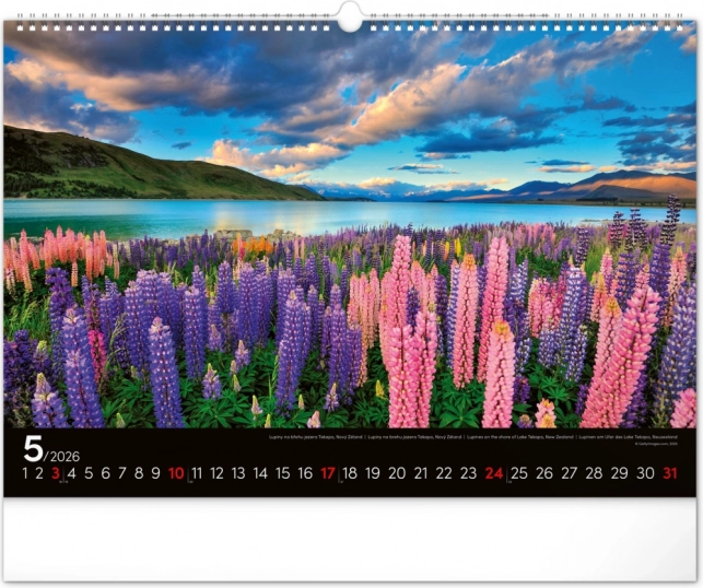 Wandkalender Landschaften 2026