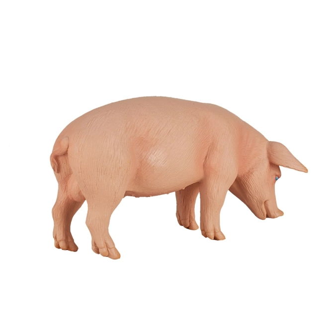 Geeignet für Sammler